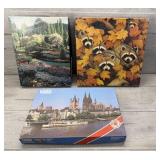SPRINGBOK & ALTENBURGER JIGSAW PUZZLES