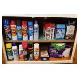 ASSORTED LAUNDRY & CLEANING SUPPLIES