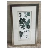 FRAMED BOTANICAL PRINT BY NORMAN WYATT JR