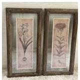BOTANIC PRINTS IN GLASS W RUSTIC WOOD FRAMES