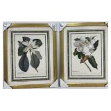 Pair of Framed Botanical Prints