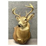 Mounted Deer Head One of Two