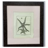 Framed Decorative Wall Art