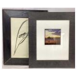 Framed Birds and Landscape Prints