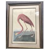 Large Flamingo Picture