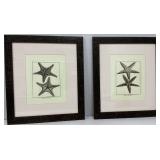 Pair of Vintage Elegant Starfish Prints