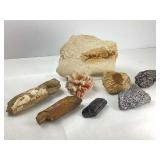 Fossils and Assorted Minerals