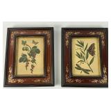 Framed Botanical Prints
