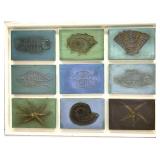 Marine Theme of Fossils Painted on Canvas