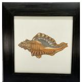 Conch Sea Shell Print Framed