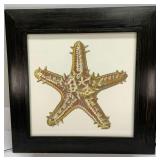 Framed Starfish Print
