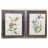 Set of Watercolor Paintings