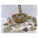 Basket of Shells