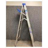 Werner Step Ladder