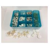 Sea Glass, Starfish, Sea Shells in Case
