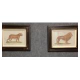 Vintage Lithographs of Large Cats