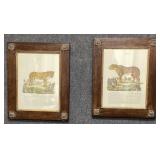 Pair of Large Cat Prints
