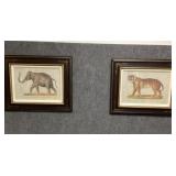 Vintage Numbered Animal Lithographs