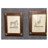Set of Two Animal Prints