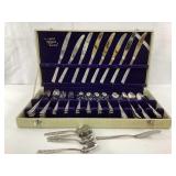 Cosmos Flower Flatware 53 Piece Set