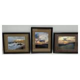 Three Framed Prints