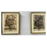 Two Framed Botanical Prints