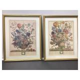 Two Botanical Prints