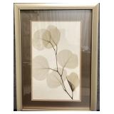Framed Botanical Print