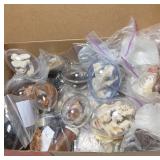 Rocks and Coral Specimens