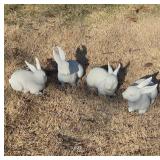 Resin Rabbit Figurines