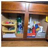 Contents of Cabinet Featuring Cleaning Supplies