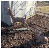Deer Sculptures with Buck and Doe