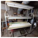 Metal Framed Grow Light System on Casters