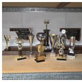 DVG Trophies and Awards