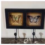 Framed Butterfly Display With Hooks