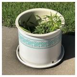 Round Pottery Planter With Drainage Saucer