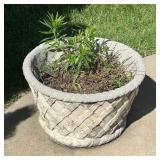 Concrete Planter with Lattice Design