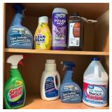 Contents of Cabinet for Household Cleaning