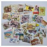 Panini Prehistoric Animal Cards