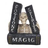 Skeleton-Themed Figure with Book Motif