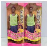 Butterfly Art Steven Dolls in Original Boxes