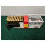 Ammo - .223 Rem