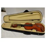 Violin in Case