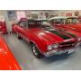Collection of Classic Cars