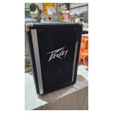 PEAVEY SPEAKER