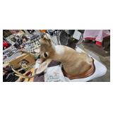 TAXIDERMY DEER MOUNT