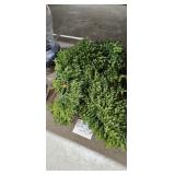 BOXWOOD GARLAND LOT