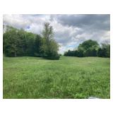 Absolute Real Estate Auction!! Two Tracts of 20.7 acres 