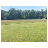 ESTATE AUCTION!  66 ACRES WITH 6 HOMES IN 7 TRACTS