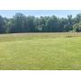 ESTATE AUCTION!  66 ACRES WITH 6 HOMES IN 7 TRACTS
